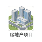 房地产项目